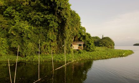 Reserva Ecológica Nanciyaga